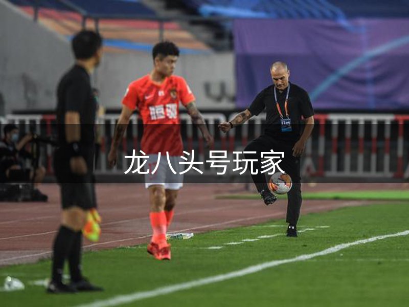 龙八头号玩家简介